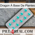 Dragon À Base De Plantes 28